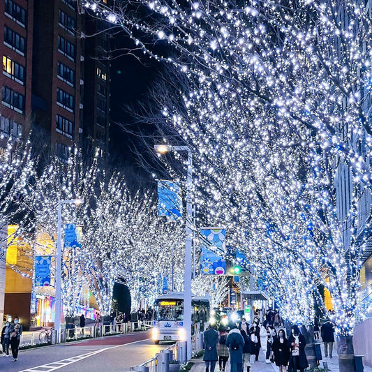 Luzes de Natal LED Estelux