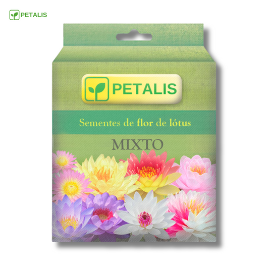 Sementes de flor de Lótus Petalis